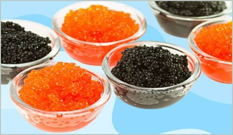 What is caviar and why is it so expensive?
